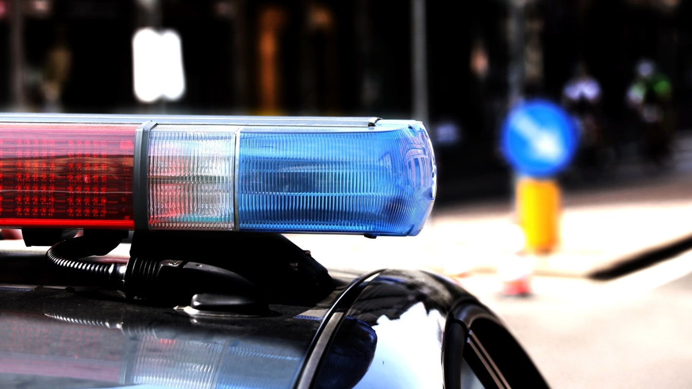 Authorities in Gujarat, India, arrested five people after recovering a leopard's skin in Valsad, which was alleged to be part of a larger illegal wildlife operation.