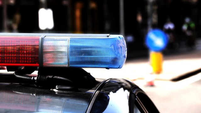 Authorities in Gujarat, India, arrested five people after recovering a leopard's skin in Valsad, which was alleged to be part of a larger illegal wildlife operation.