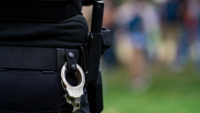 Leopards are one of many species in a precarious position in today's changing world, but authorities are cracking down on the illegal wildlife trade.