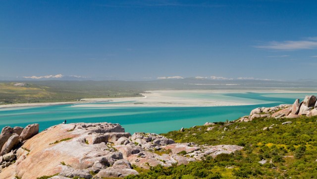 A trail camera in South Africa captured an incredible photo of a local leopard, marking the first sighting in 170 years.