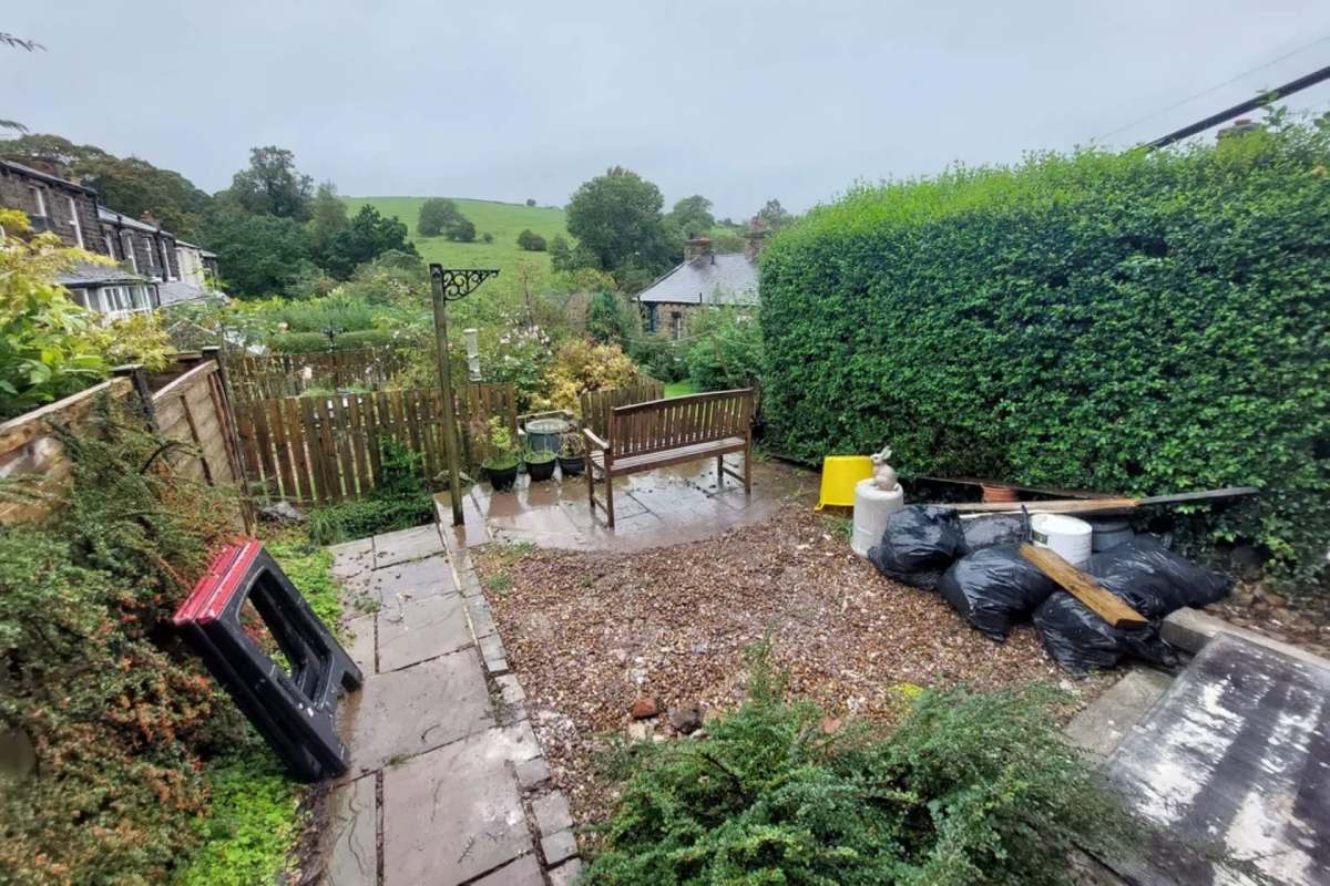 When one Redditor shared how they transformed their lifeless yard, the Reddit community responded with tons of tips and compliments.