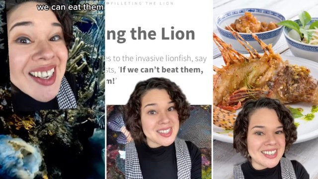 Chefs, scientists, and ocean lovers are calling on people to eat invasive lionfish to solve an ecological problem.