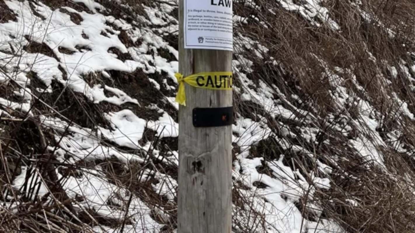 After three full-size couches were dumped in their local creek, a Redditor had to vent.