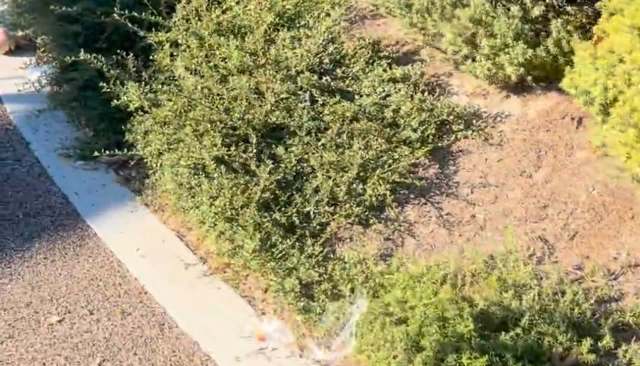 One frustrated local resident shared a video of the littered walkways at Sweetwater Park in San Diego.