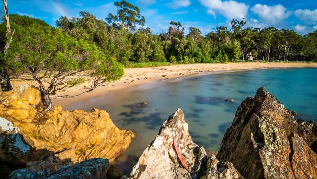 The south coast of New South Wales, Australia, was once home to little penguins before severe storms and predators drove them to extinction in the area in the 1990s.