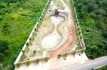 One Reddit user showed off their incredible native lawn transformation, where a dying pineapple field turned into a thriving tropical paradise.