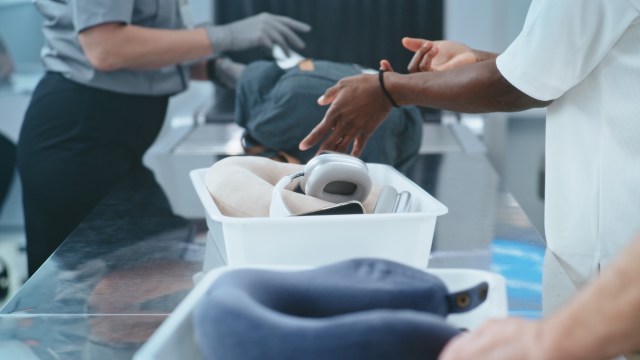 Nearly 3,000 live red-eared slider turtle hatchlings were found hidden inside intercepted luggage at Chennai Airport.