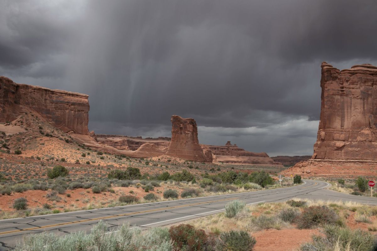 Volunteers collected nearly 24,000 pieces of trash across 59 locations in national parks — revealing the prevalence of microplastic pollution.