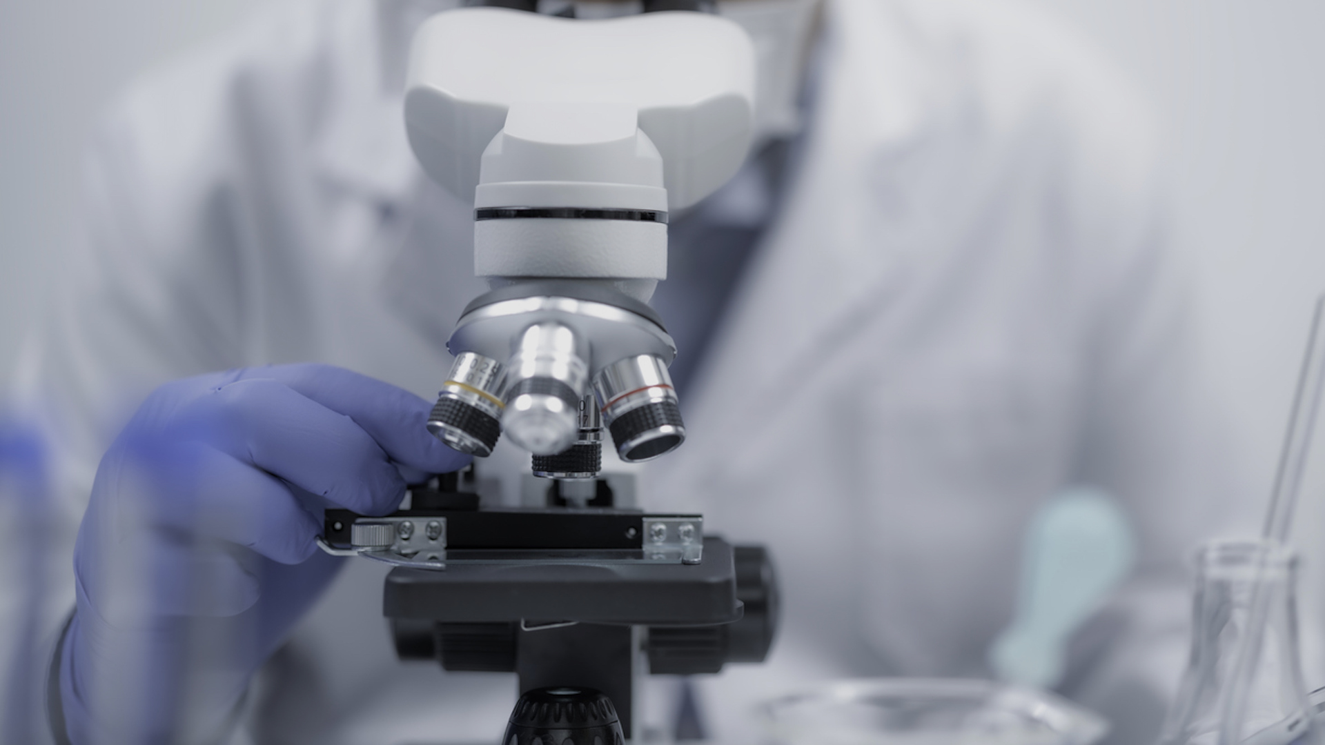 Experts make stunning scientific breakthrough with help of strangers: 'Of significant importance globally'