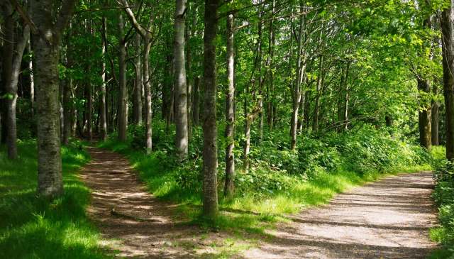 This small but impactful post from the subreddit r/mildlyinfuriating is getting attention online.