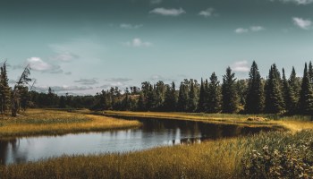 Hunters in one Canadian province have been pressured to hand over their moose hunting licenses because of concerns over the impact on traditional lands.