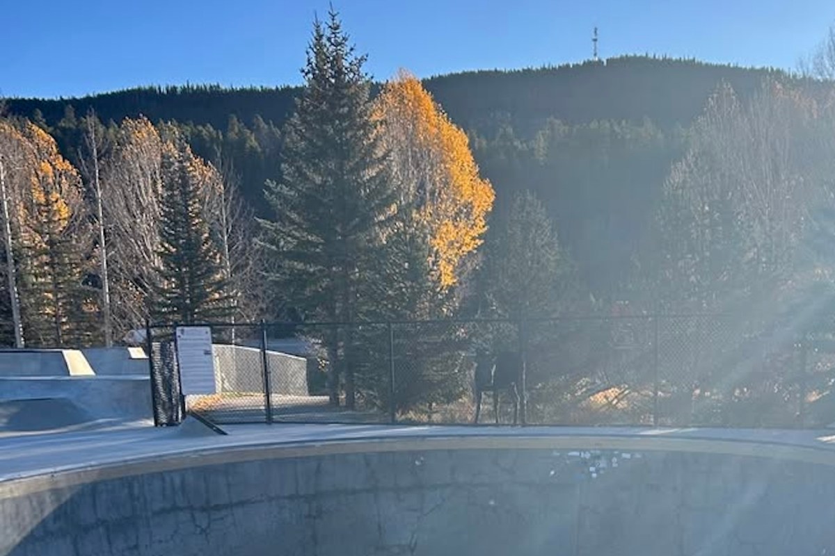 A young moose needed assistance from Colorado Parks and Wildlife after getting stuck in a skatepark.