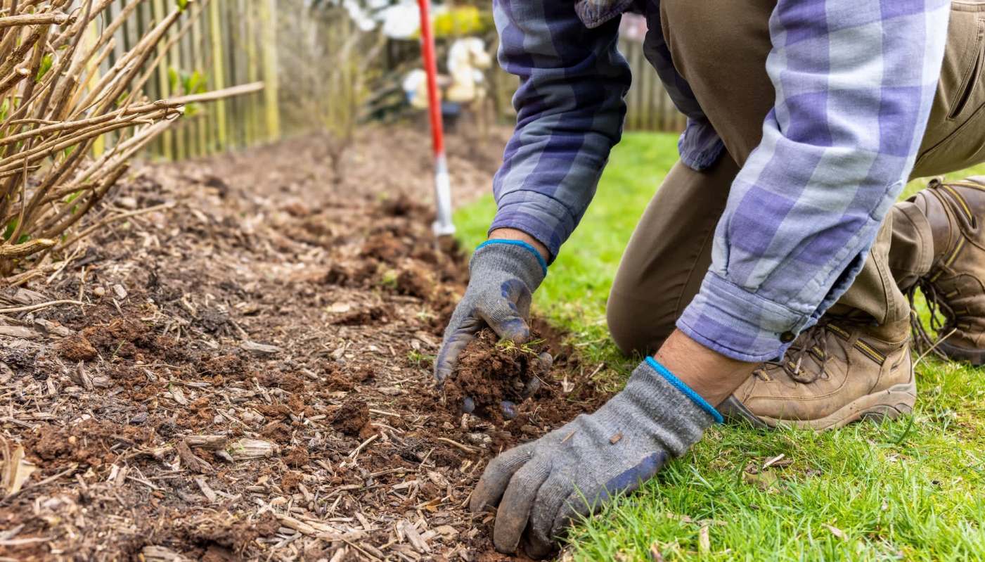 This island gardener quickly found out how much Redditors hate the invasive mother of millions' plant.
