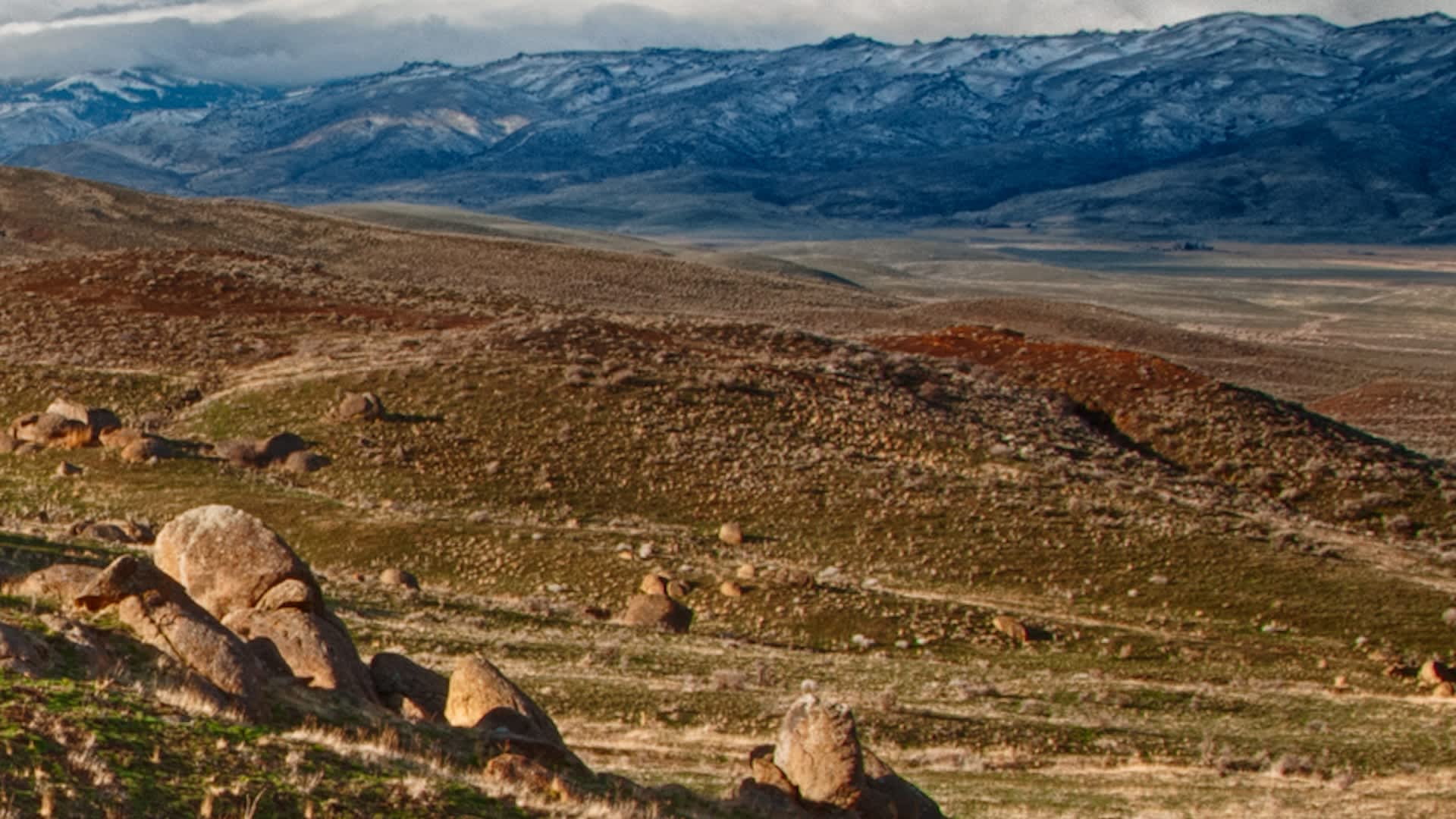 Wildlife expert captures heart-pounding video of standoff with large predator: 'A potentially risky worst-case scenario'