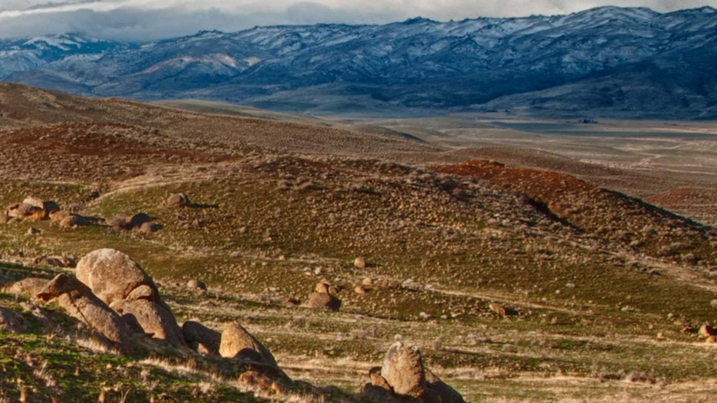 A wildlife technician in Idaho recently captured rare footage of a close encounter with a mountain lion.