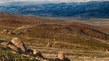 A wildlife technician in Idaho recently captured rare footage of a close encounter with a mountain lion.