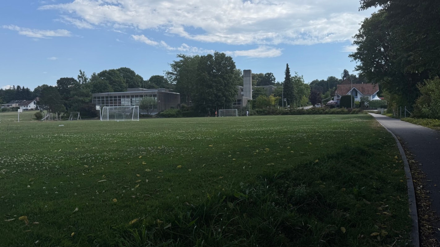 In early December, two schools in Duluth, Minnesota were ordered to lock their doors following a mountain lion's sighting nearby.