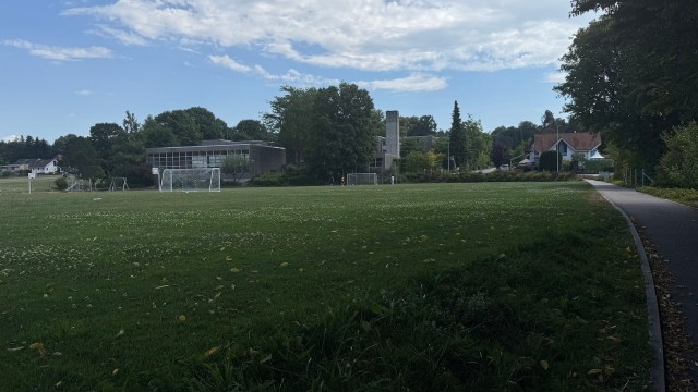 In early December, two schools in Duluth, Minnesota were ordered to lock their doors following a mountain lion's sighting nearby.