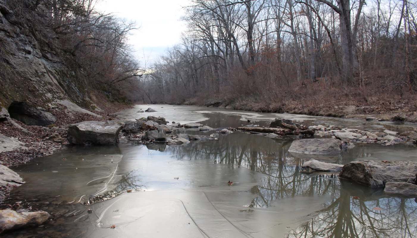 The Columbia Daily Tribune reported that a mountain lion was spotted during an aerial survey of the deer population in Saline County.