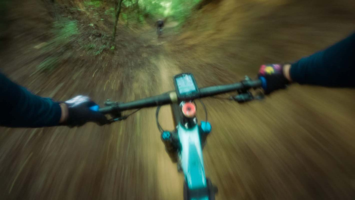 Two bikers in Orange County, California, lived through every hiker's worst nightmare when they encountered a mountain lion.