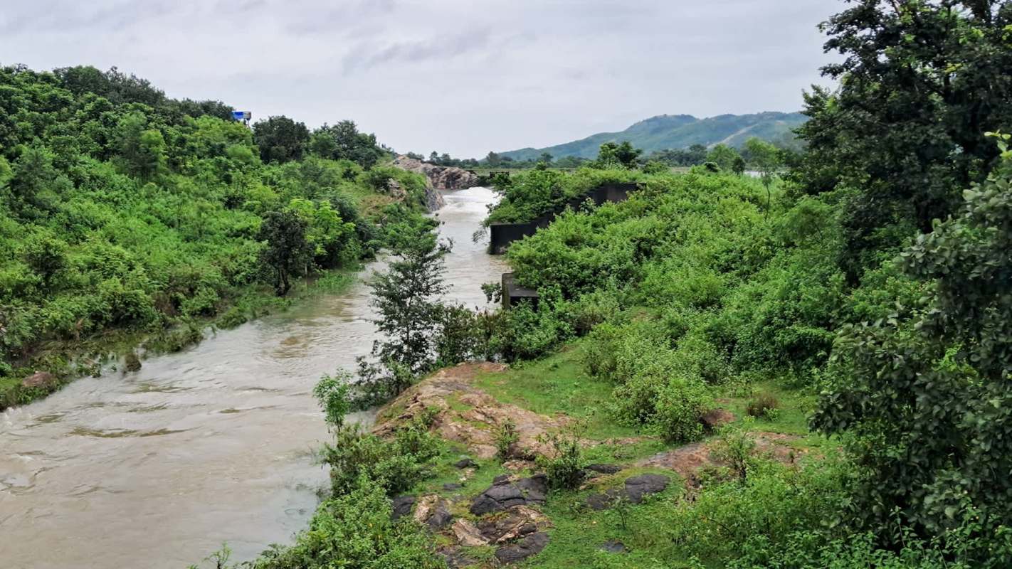For the first time in over 60 years, a trail camera has recorded footage of an endangered musk deer in West Bengal, India.