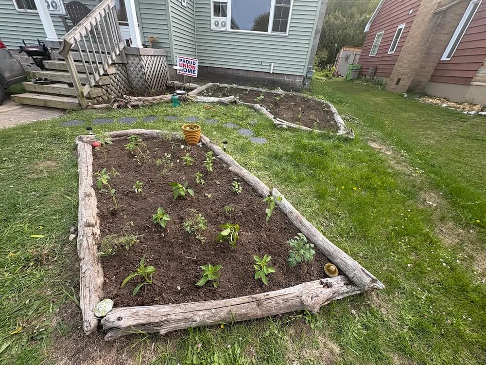 One gardener shared a photo of their chaos garden, sparking a discussion on lawns and native plants.