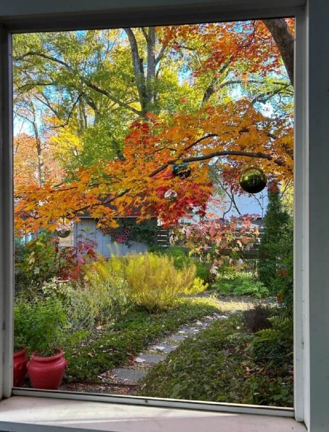 One Maryland homeowner showed the internet how glorious a backyard can look in the fall with no lawn.