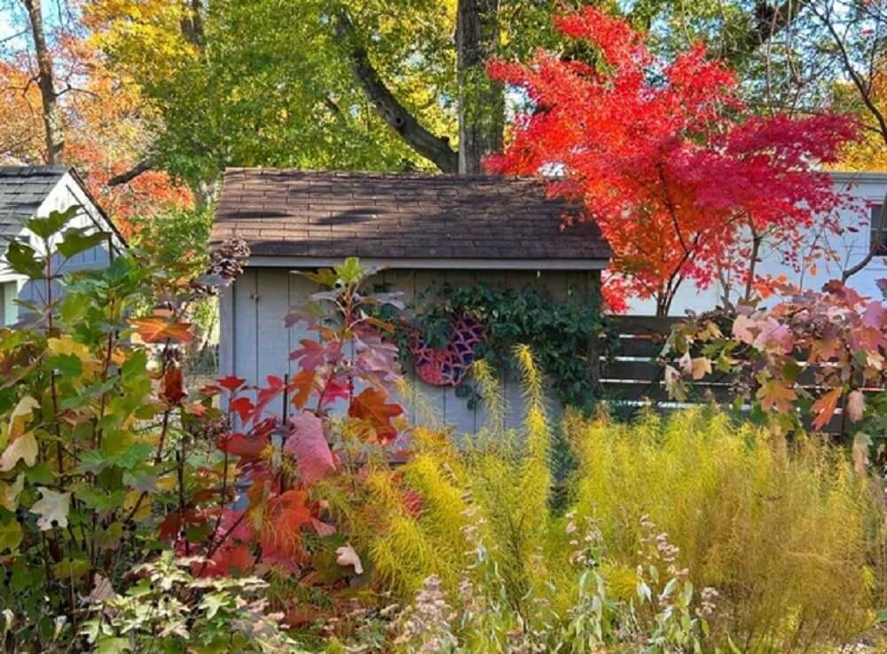 One Maryland homeowner showed the internet how glorious a backyard can look in the fall with no lawn.