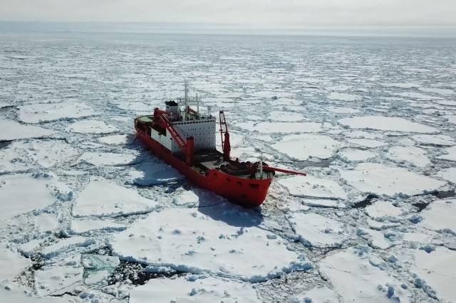 A new study reveals how ship noise pollution is disrupting the communication of the Arctic's quiet narwhals.