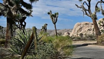 Visitors to national parks during the shutdown posted photos and personal accounts of the mess and damage caused by lack of staff's oversight.
