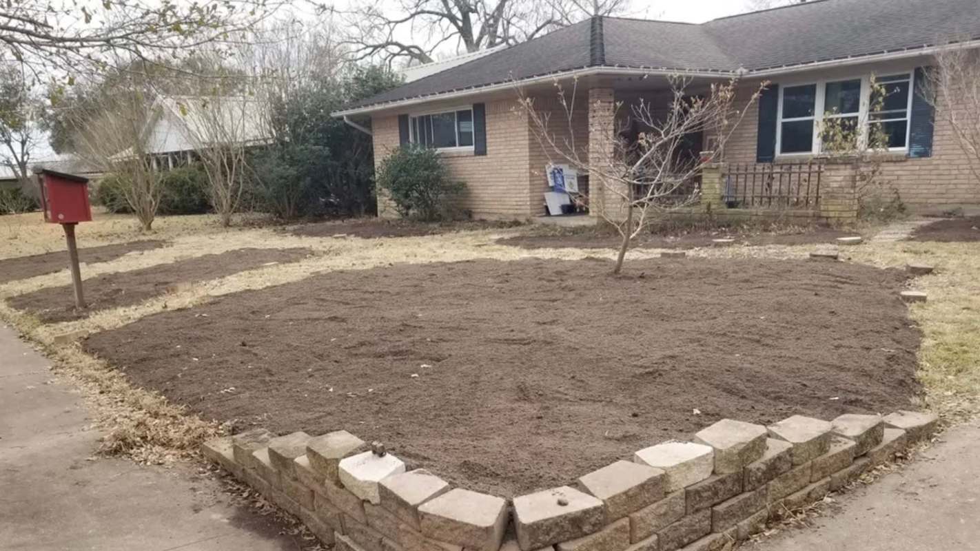 One homeowner shared a Reddit post revealing how they turned their traditional lawn into a beautiful Texas-native garden.