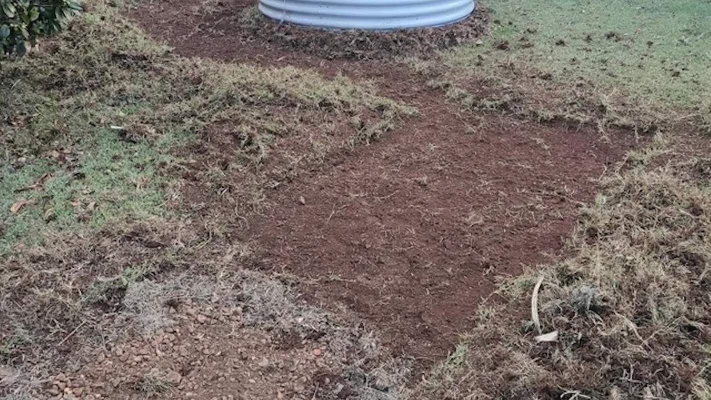 One Redditor shared before-and-after photos of their yard, which they transformed from a monoculture lawn into a native garden.