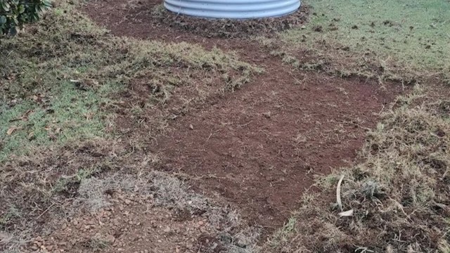 One Redditor shared before-and-after photos of their yard, which they transformed from a monoculture lawn into a native garden.