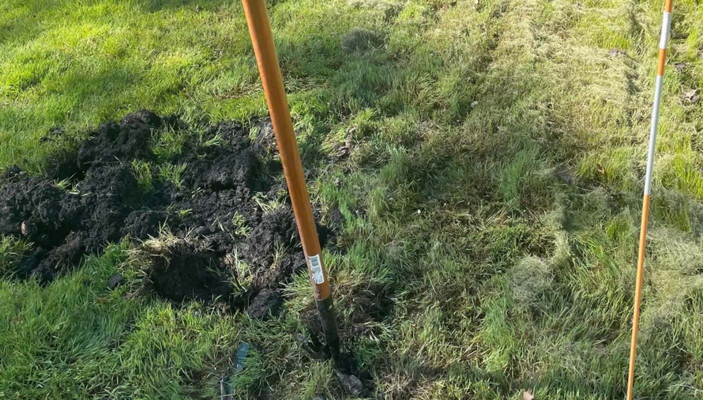 One Redditor shared their backyard transformation, creating a natural native plant haven for both the homeowner's and local wildlife's benefit.
