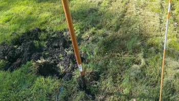 One Redditor shared their backyard transformation, creating a natural native plant haven for both the homeowner's and local wildlife's benefit.