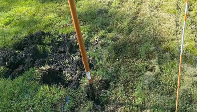 One Redditor shared their backyard transformation, creating a natural native plant haven for both the homeowner's and local wildlife's benefit.