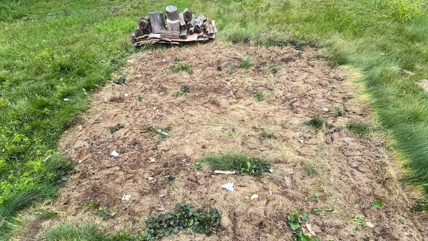 It's actually essential to kill the grass on your lawn for environmental benefits and make way for native plants.