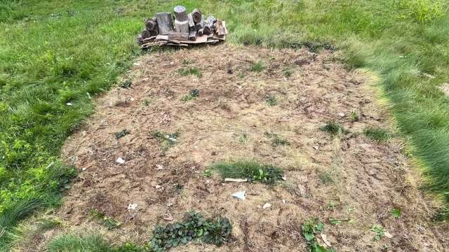 It's actually essential to kill the grass on your lawn for environmental benefits and make way for native plants.