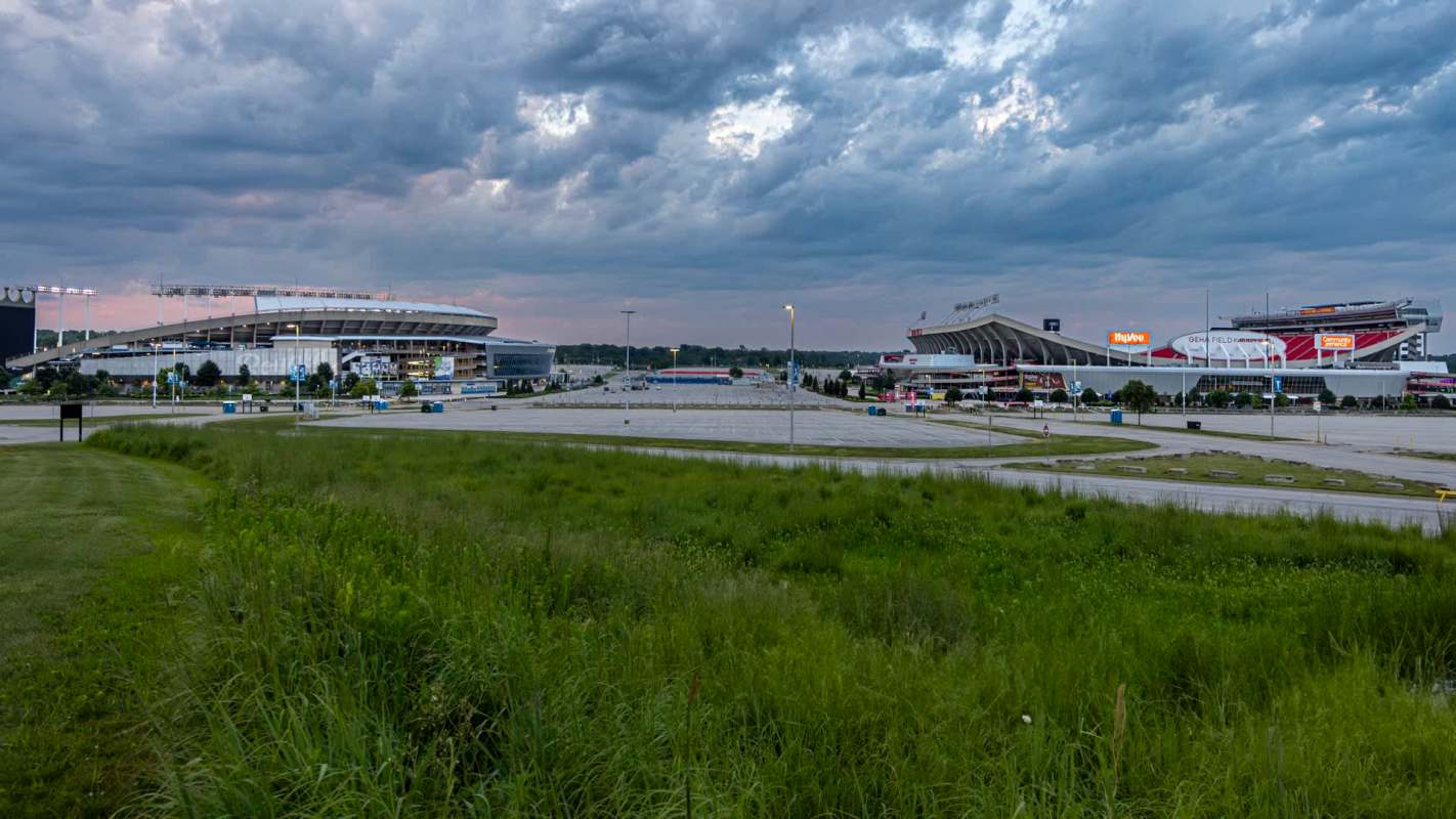 Over 5,000 square feet of land has been sowed with 5,600 flowers and grasses, which is a lot more than your average garden patch.