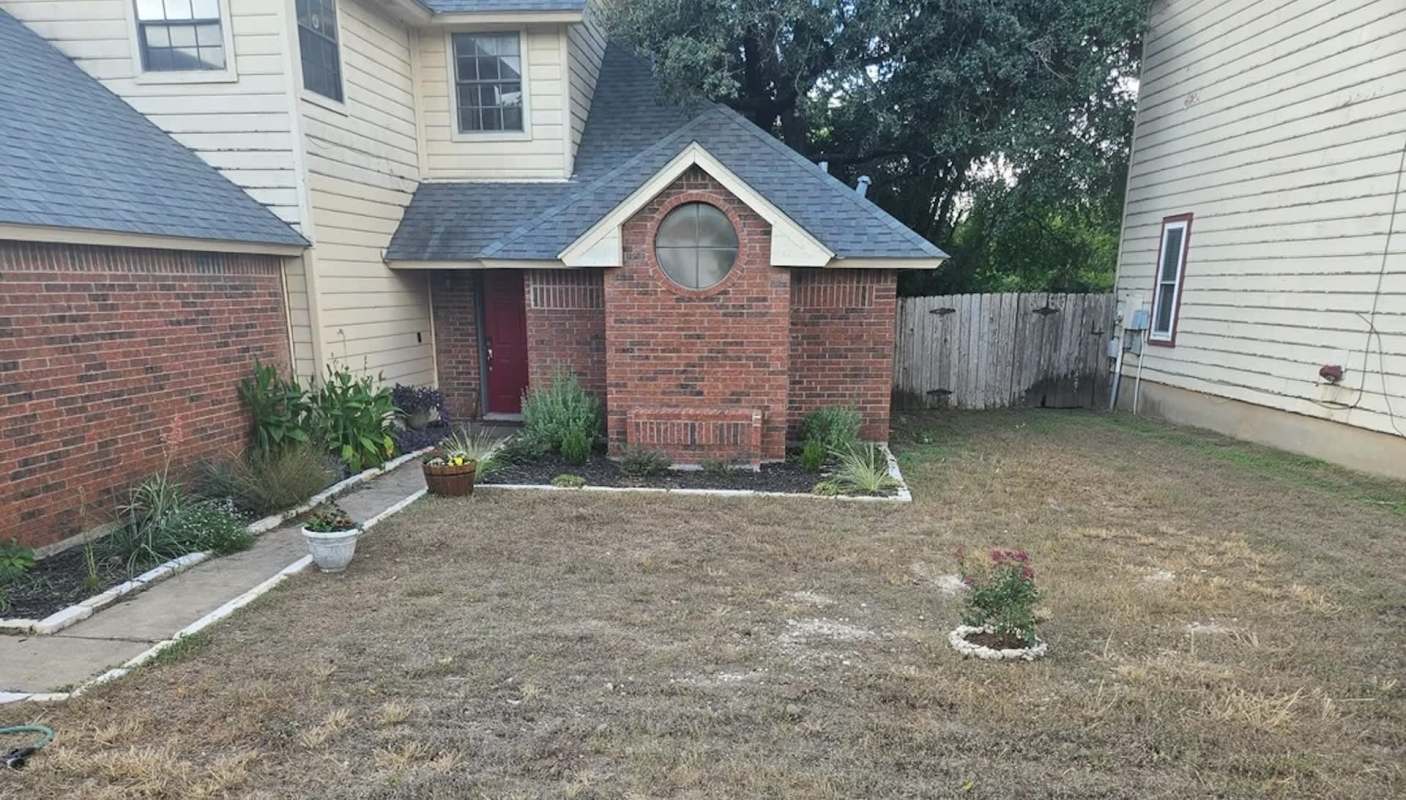 One Redditor gained a lot of attention online after sharing photos of their year-long yard transformation, adding that they used native plants.