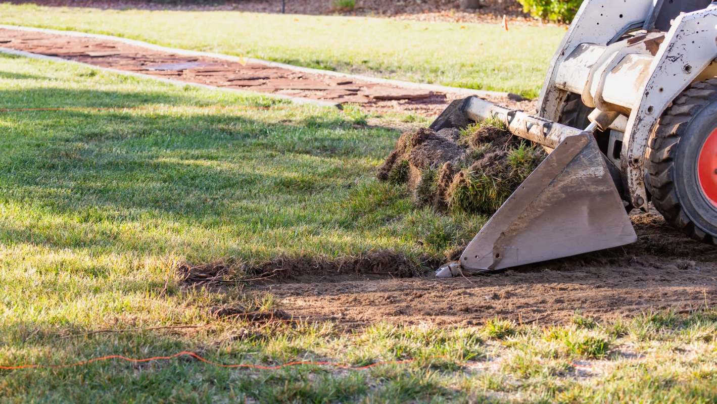 One Redditor triumphantly channeled a popular Lord of the Rings' meme after defying the typical HOA's lawn for a natural one.