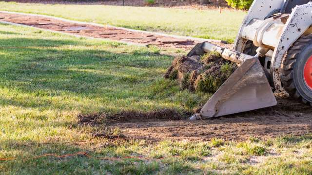 One Redditor triumphantly channeled a popular Lord of the Rings' meme after defying the typical HOA's lawn for a natural one.