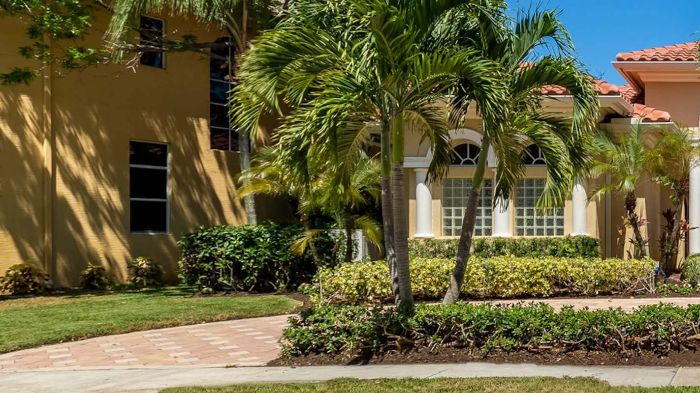 A Redditor reached out to the community at r/treelaw for advice about a neighbor cutting down their palm trees.