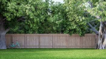A North Carolina homeowner is gaining attention online after sharing trail-camera evidence of their neighbors cutting down dozens of young trees.