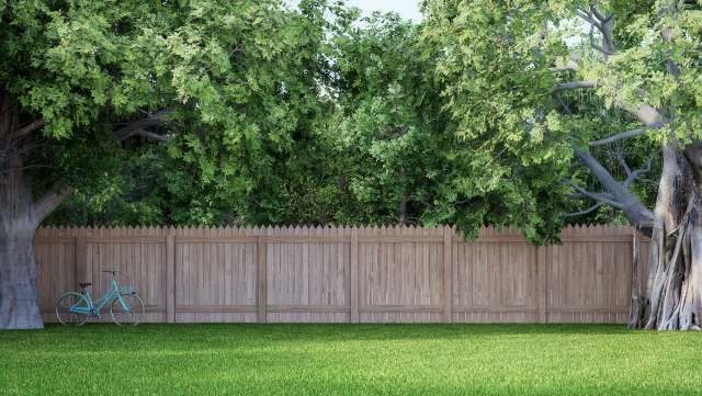 A North Carolina homeowner is gaining attention online after sharing trail-camera evidence of their neighbors cutting down dozens of young trees.