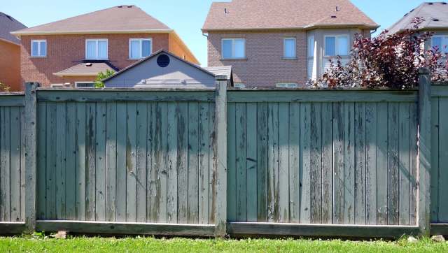 One Redditor asked for help dealing with their annoying neighbor, whose behavior has been disrupting the entire neighborhood.