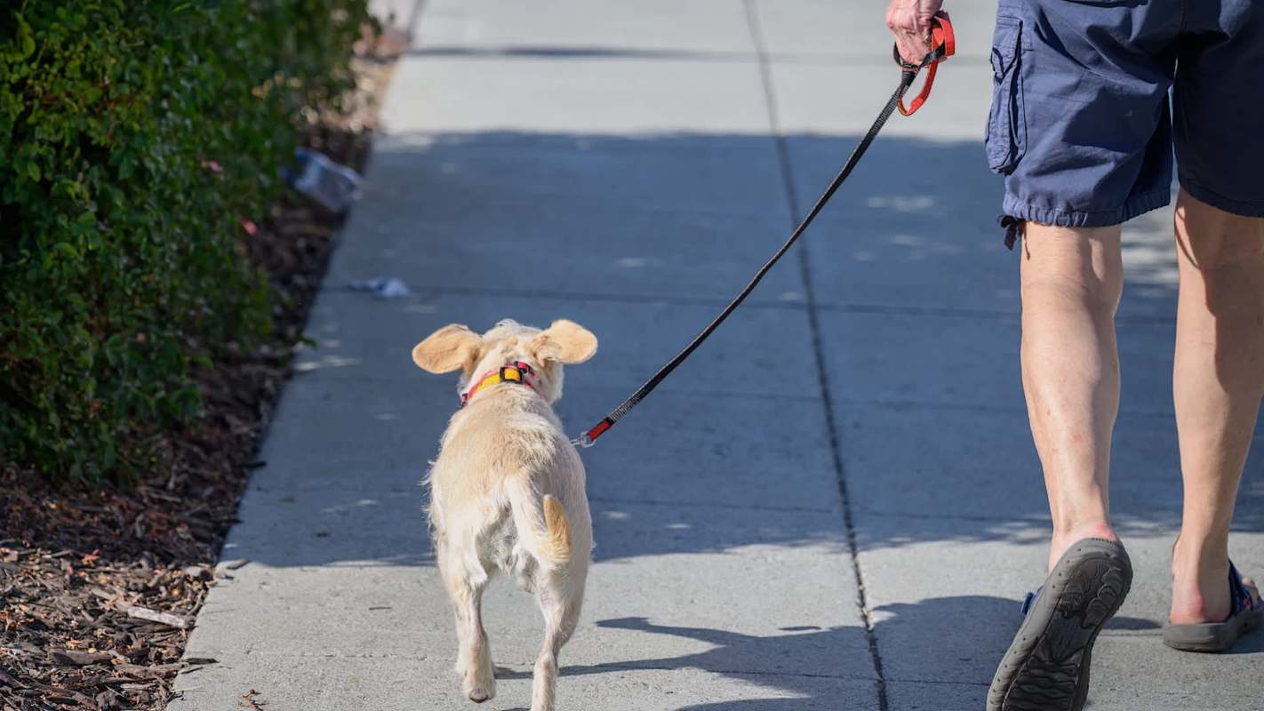 One Redditor shared their frustration about a neighbor who repeatedly litters in their neighborhood.