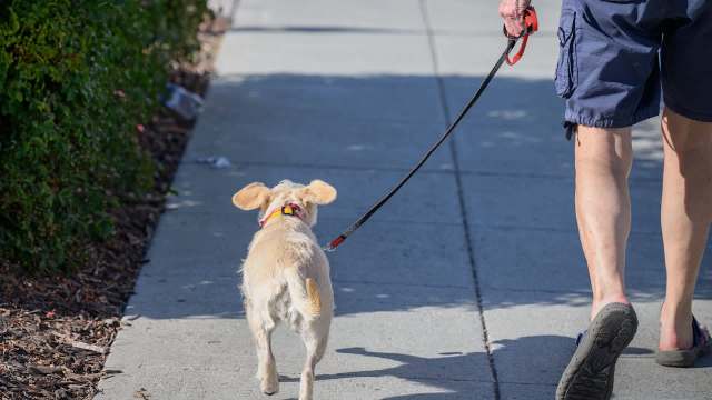 One Redditor shared their frustration about a neighbor who repeatedly litters in their neighborhood.