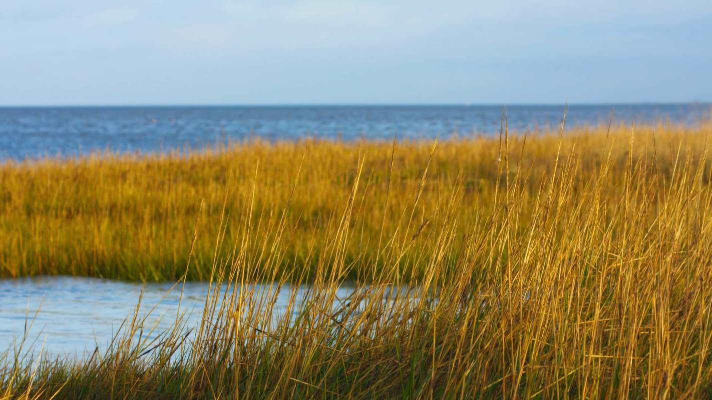 A new study suggests that flooding and hurricane impacts in the Northeast could become more severe in the future.