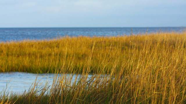 A new study suggests that flooding and hurricane impacts in the Northeast could become more severe in the future.